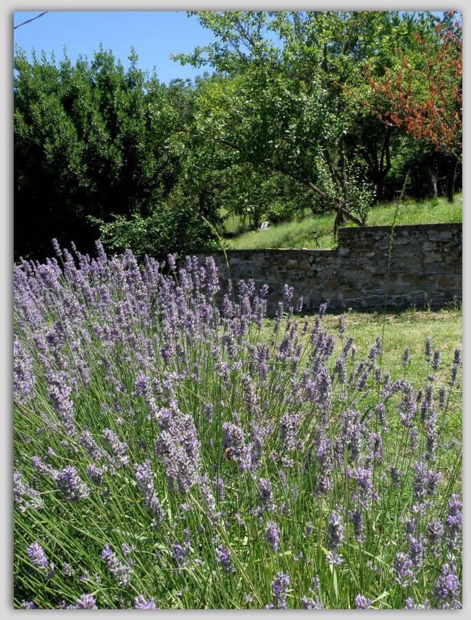 Cascina Luvot Bed & Breakfast Melazzo Exterior photo